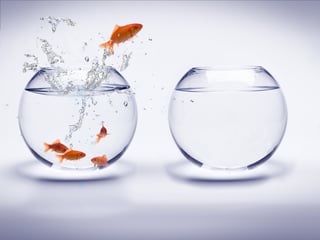 AdobeStock_543850