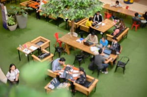 Overhead picture of a coworking space with lots of greenery