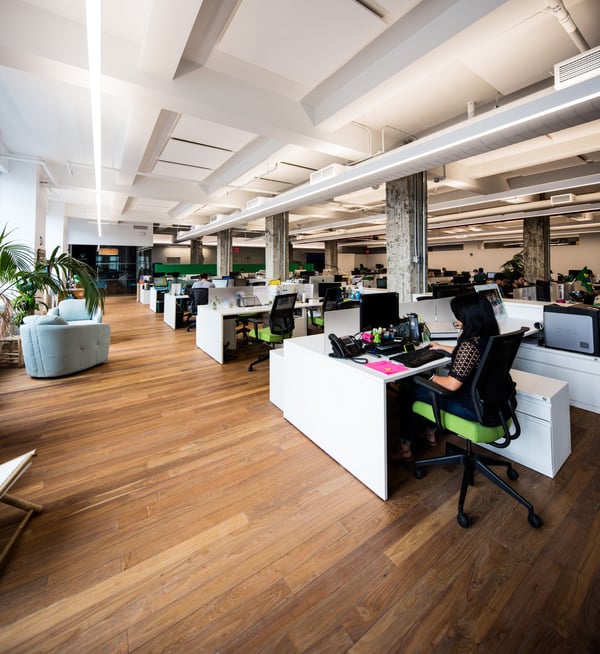 The beach in the heart of New York City? That is the theme of Vita Coco's office design.