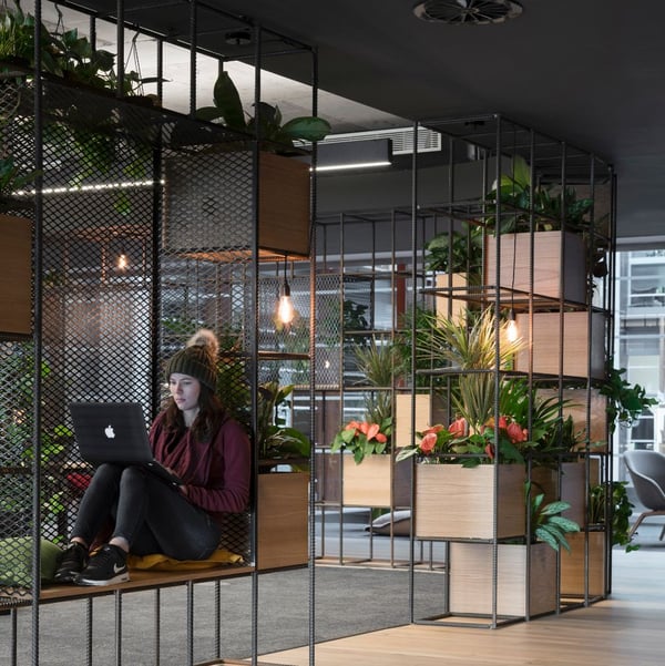 Slack's Dublin office is an example of making plants central to your office design