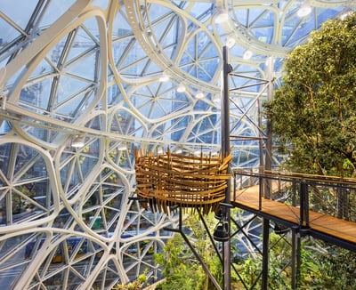 View from the perch in Amazon Speheres
