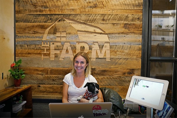 Coworking space visitor management software