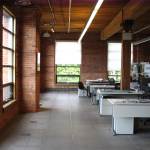 Open office layouts have a negative impact on employee productivity