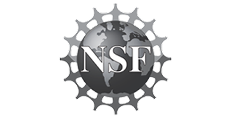 Visitor management system for the National Science Foundation
