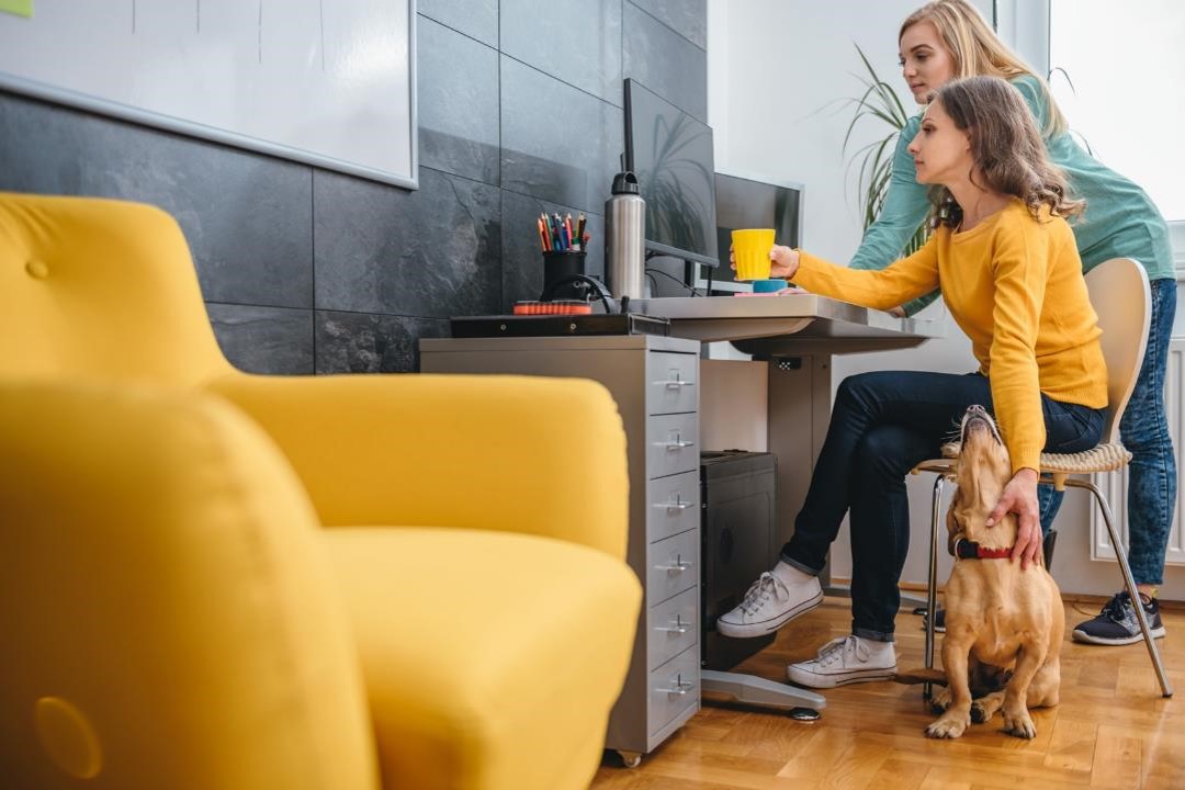 greetly-digital-logbook-pets-office-1 greetly-digital-logbook-pets-office-1