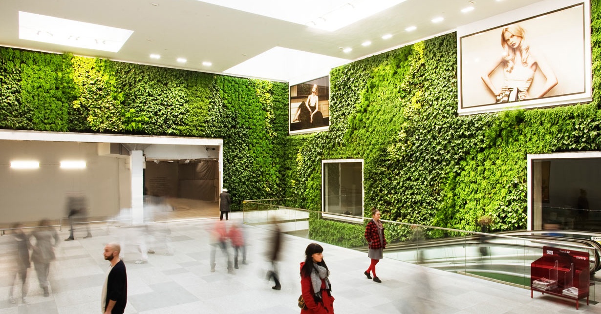 greetly-living-walls-office