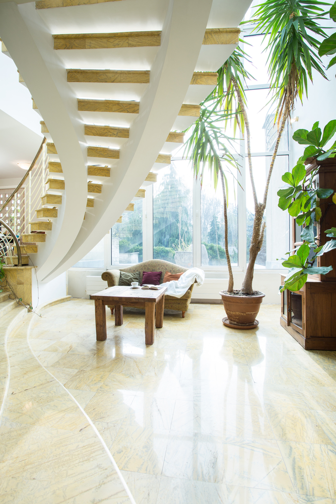 Modern interior design with natural light and plants